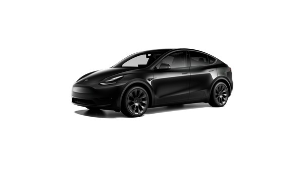 Details for MY Long Range AWD 2023 New