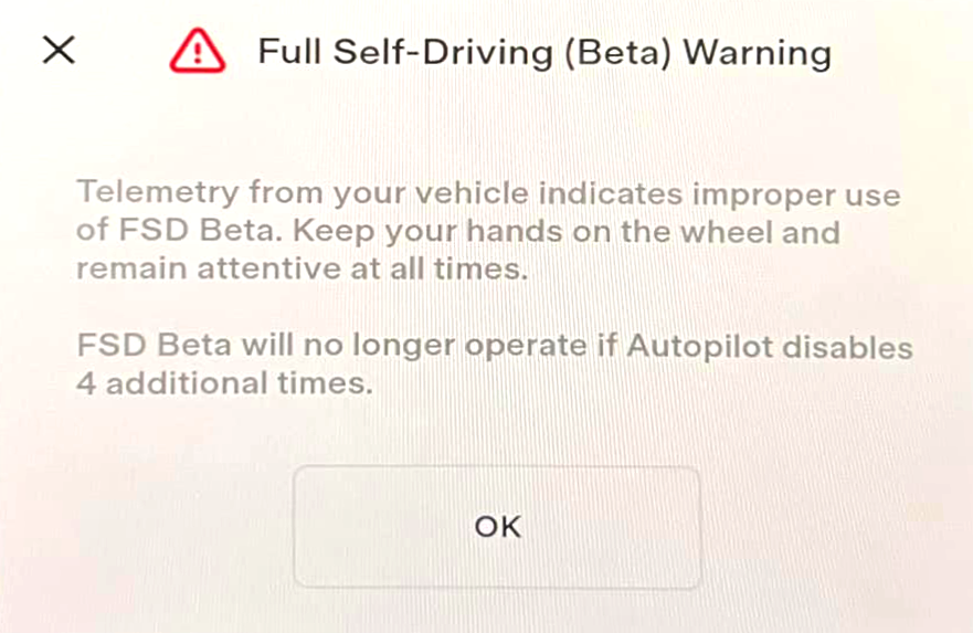 Tesla FSD Warning